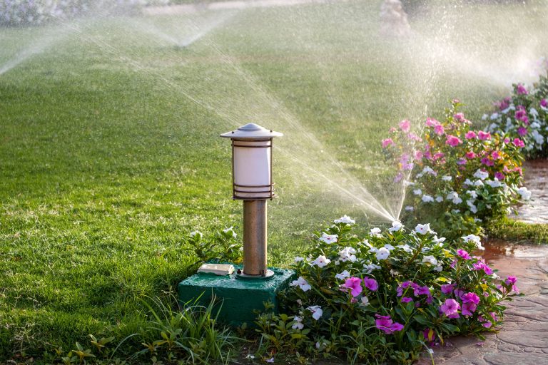 All Good Plus 11 All Good Sprinklers Longview 768x512
