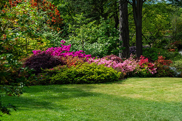 All Good Plus 5 all good plus landscaping services