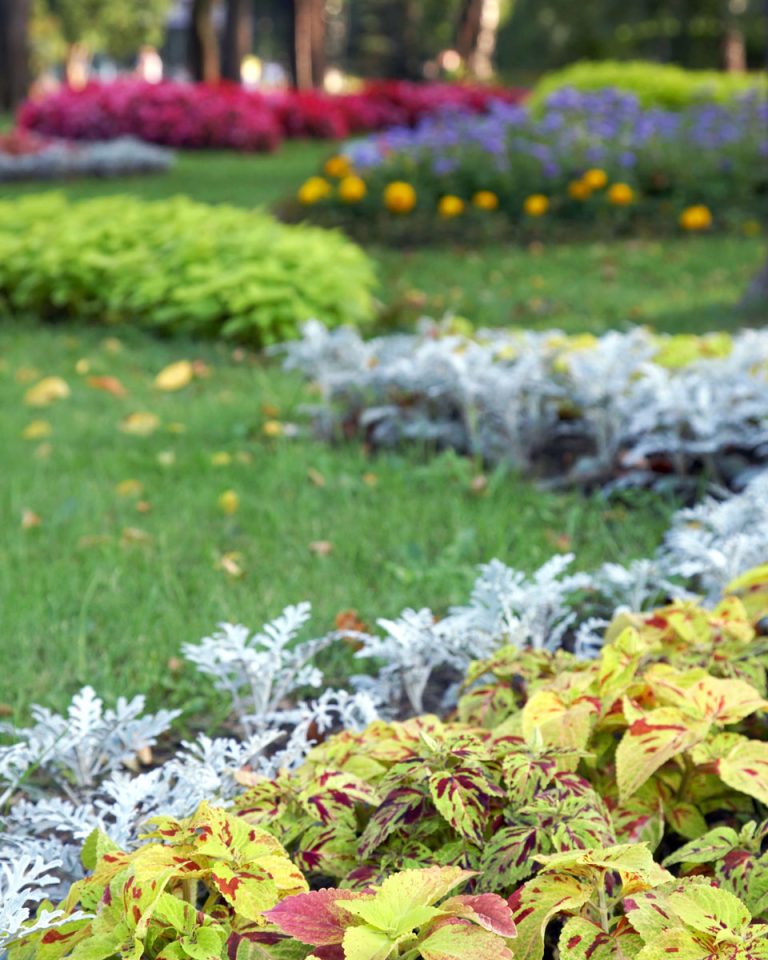 All Good Plus 4 all good plus landscaping services 768x960